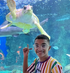 Anas au paradis des tortues